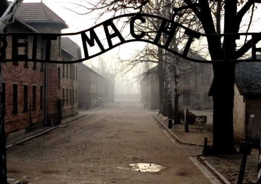 Infiltré à Auschwitz, sélectionné au Festival International du Film d'Histoire de Pessac